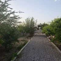 فروش زمین ۳۷قصبی حصارشده/دهکده پرواز/