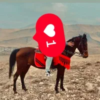 اسب|اسب و تجهیزات اسب‌سواری|ماکو, |دیوار