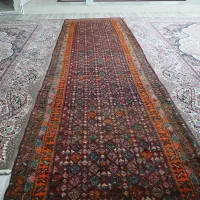 کناره فرش طبیعی|فرش|میاندوآب, |دیوار