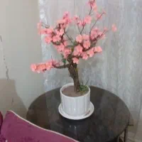 درختچه مصنوعی|گل مصنوعی|تهران, آجودانیه|دیوار
