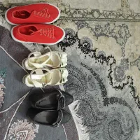 سه جفت کفش همه باهم ۲ پانصد