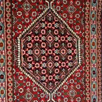 پادری زیبا و سالم