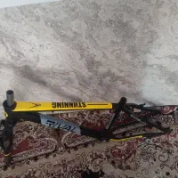 تنه دوچرخه