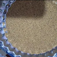 بذر یونجه گرمسیر|خدمات باغبانی و درختکاری|مهران (ایلام), |دیوار