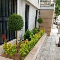 خدماتی باغبانی به تمام نقطه تهران گلکاری ارس‌کاری
