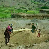 اجتماعی
