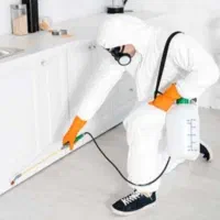 خدمات سم پاشی