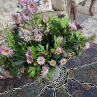 گل وگلدون|گل مصنوعی|پیشوا, |دیوار