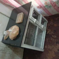 قفس پرنده