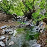 طبیعت گردی