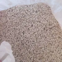 لوبیا سفید|عمده‌فروشی|دورود, |دیوار