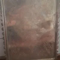 سینی قدیمی ورشو