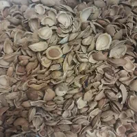 پوست گردو بادام پسته