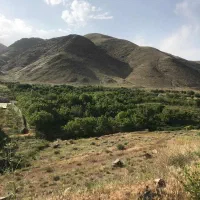 باغ-و-باغچه