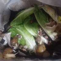 حلزون فروشی|لوازم جانبی حیوانات|بم, |دیوار