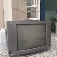 تلویزیون