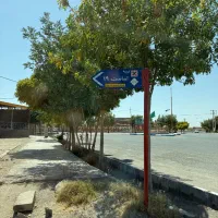 زمین مسکونی ملکی سند تک برگ‌