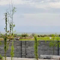 زمین۵۰۰متری ملکی‌داخل مجتمع شاهنامه ماریان