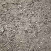 کود گوسفندی|حیوانات مزرعه|رشتخوار, |دیوار