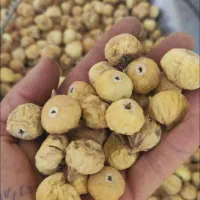 فروش انجیر