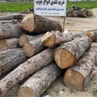 مرکز خرید وفروش چوب «نقدی»