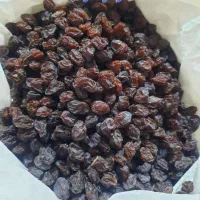 مویز و کشمش|خوردنی و آشامیدنی|شیراز, حومه شیراز|دیوار