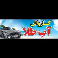 نیروی کارواش