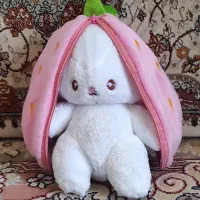 عروسک|اسباببازی|کرمانشاه, |دیوار