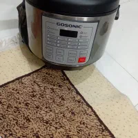 پلوپز سالم،مارک گوسونیک