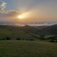 تدریس خصوصی‌.نگارش مقاله، پایان نامه، رساله،تالیف