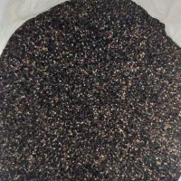 کنجدسیاه و سفید موجود هست