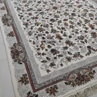 فرش های ۴ و ۶ و ۹ و ۱۲ متری hcp ریزبافت|فرش|کرمانشاه, |دیوار