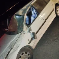 پارس چپی فروشی