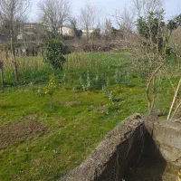 اجاره-روزانه-ویلا-دربست