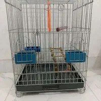 قفس برای پرنده