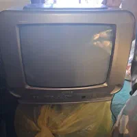 تلویزیون
