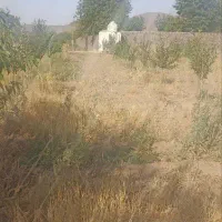 باغ دو ساله فنس کشی شده 700 متر