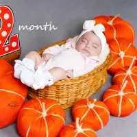 آذرماه تخفیف عکاسی|خدمات پذیرایی، مراسم|ایذه, |دیوار