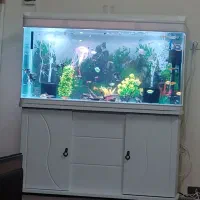 اکواریوم شرکتی دلسا  K1200