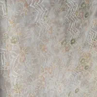 چادر مجلسی