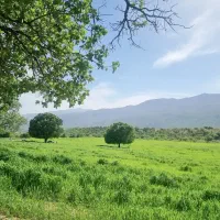 زمین-مسکونی-جمال-اباد