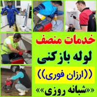 هامدان لوله بازکن اوجوزلو ۱۵دقیقه«چاه باز کن»ارزان|خدمات پیشه و مهارت|تبریز, |دیوار