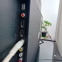 ال ای دی43 TCL|تلویزیون و پروژکتور|گلبهار, شهر جدید گلبهار|دیوار