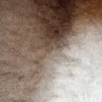 مقداری سامان یا کاه در روستای سرای