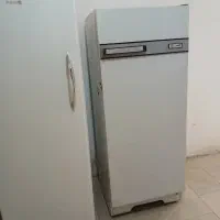 یخچال و فریزر|یخچال و فریزر|رفسنجان, |دیوار