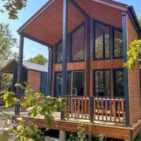 کانکس|خدمات پیشه و مهارت|رشت, فلسطین|دیوار