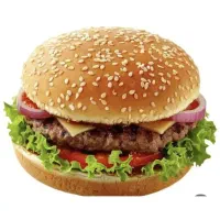 استخدام همکار خانم