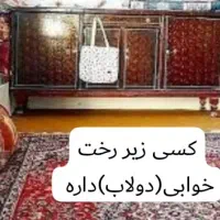 زیررخت خوابی