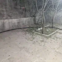 اجاره خونه|اجارهٔ آپارتمان|الشتر, |دیوار