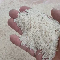 برنج طارم هاشمی آمل|خوردنی و آشامیدنی|ساری, |دیوار